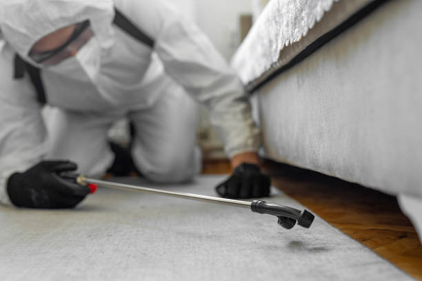 Professional Termite Control technician working in Whippany, NJ