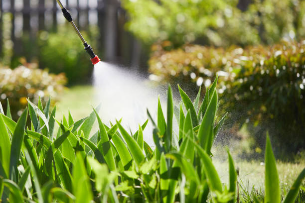24/7 Emergency Termite Control experts in Whippany, NJ
